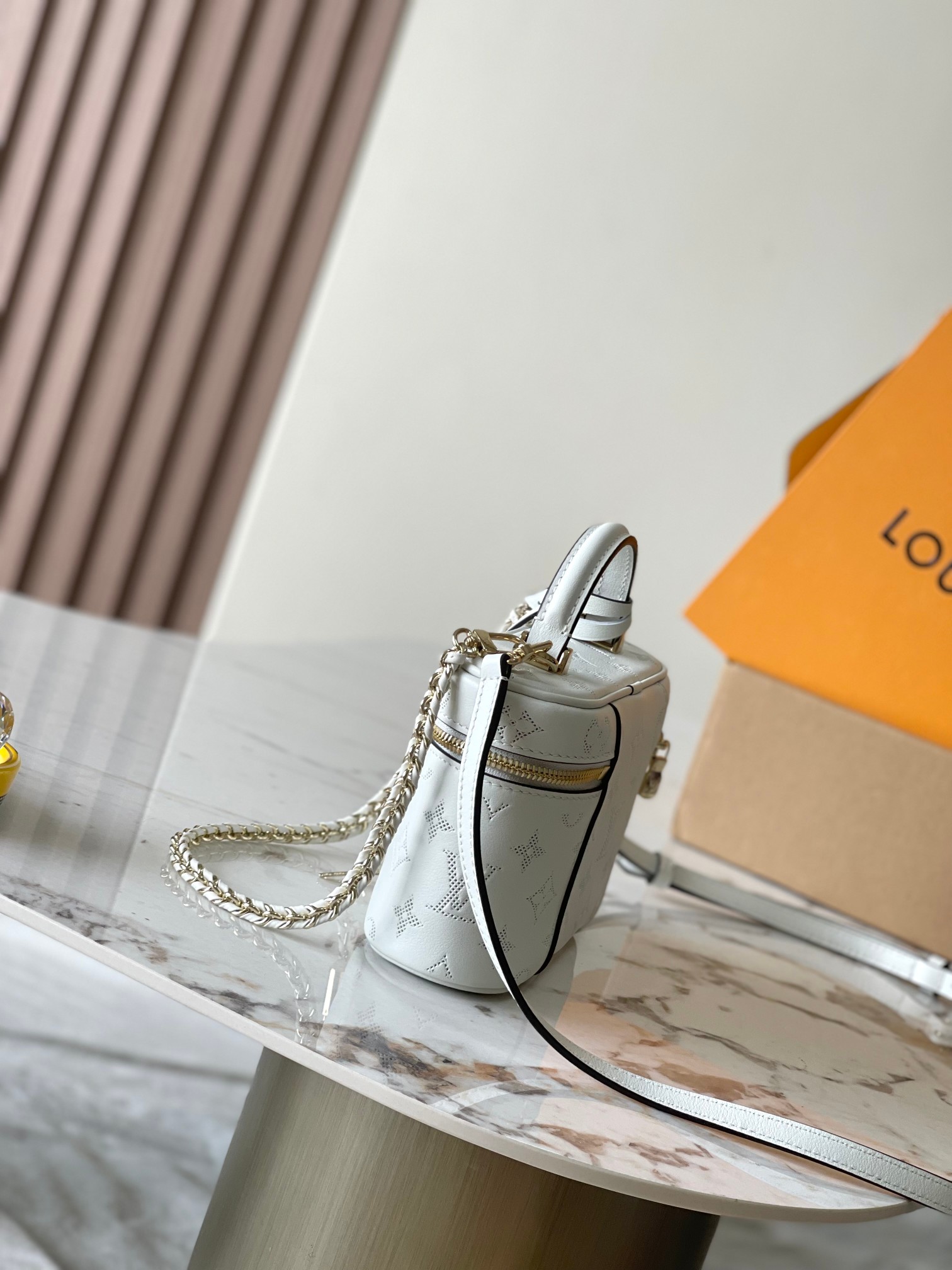 Louis Vuitton Vanity Pouch handbag