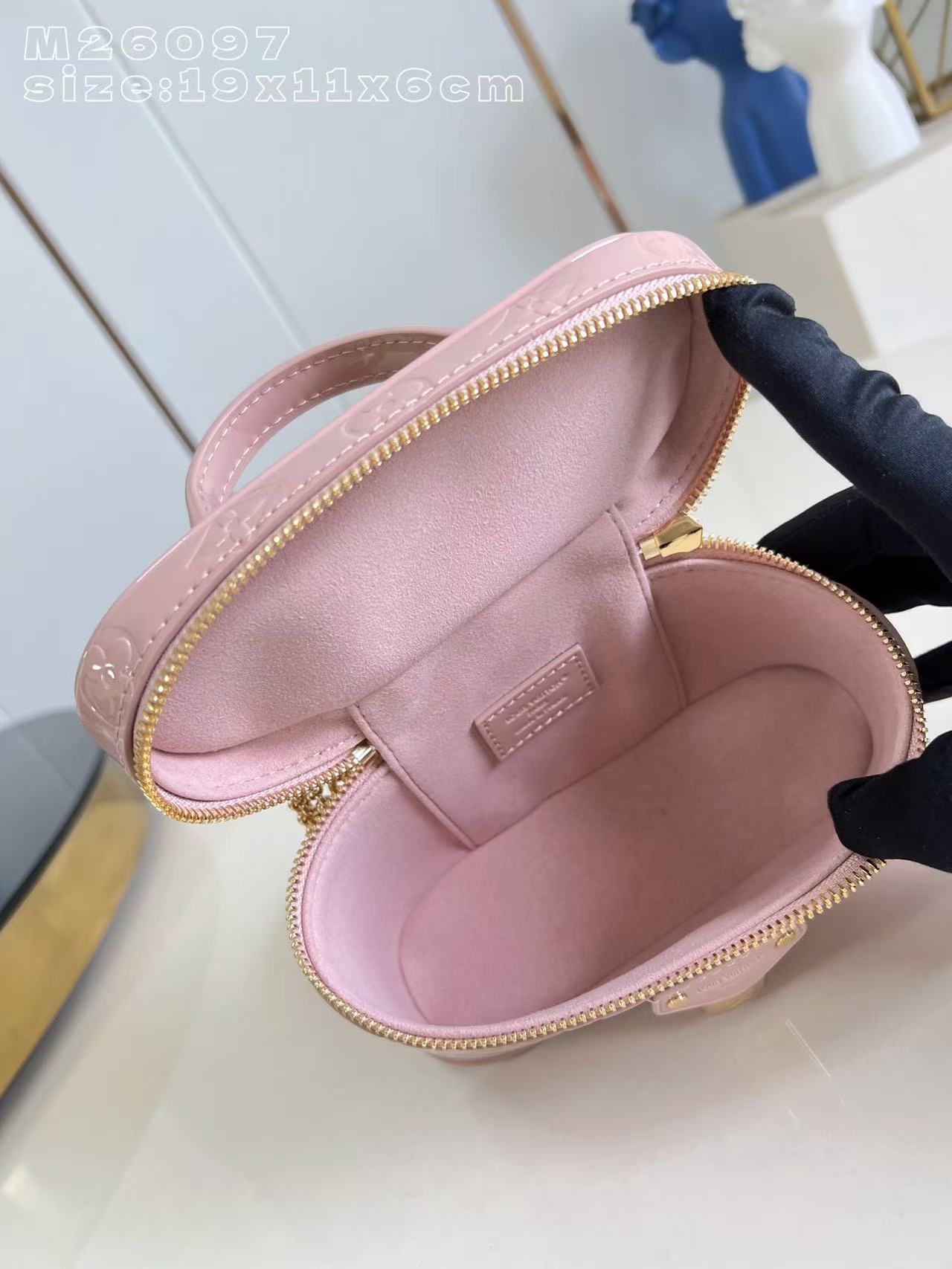 Louis Vuitton LV Vanity Chain Pouch handbag