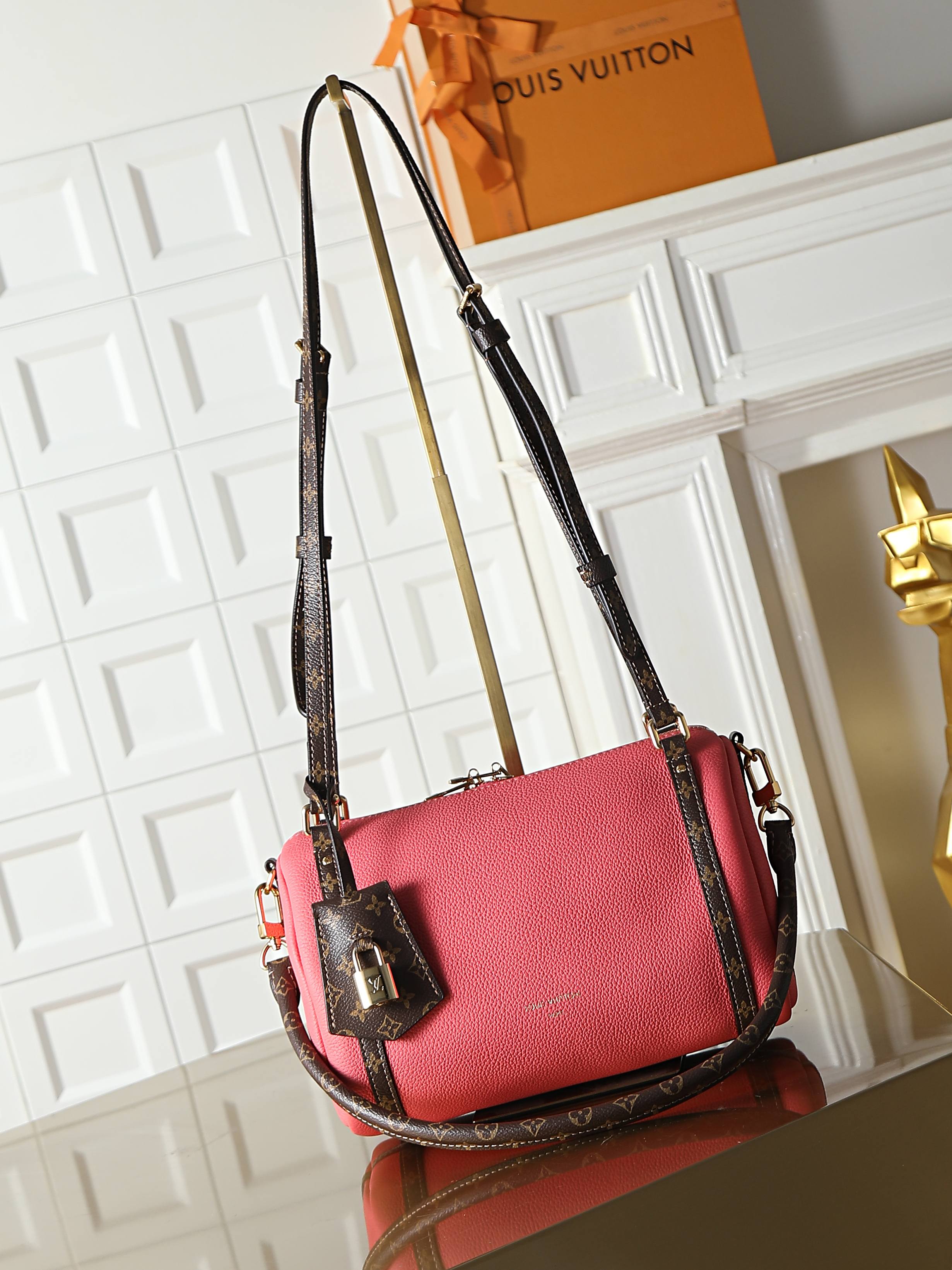 Louis Vuitton Express Small Handbag