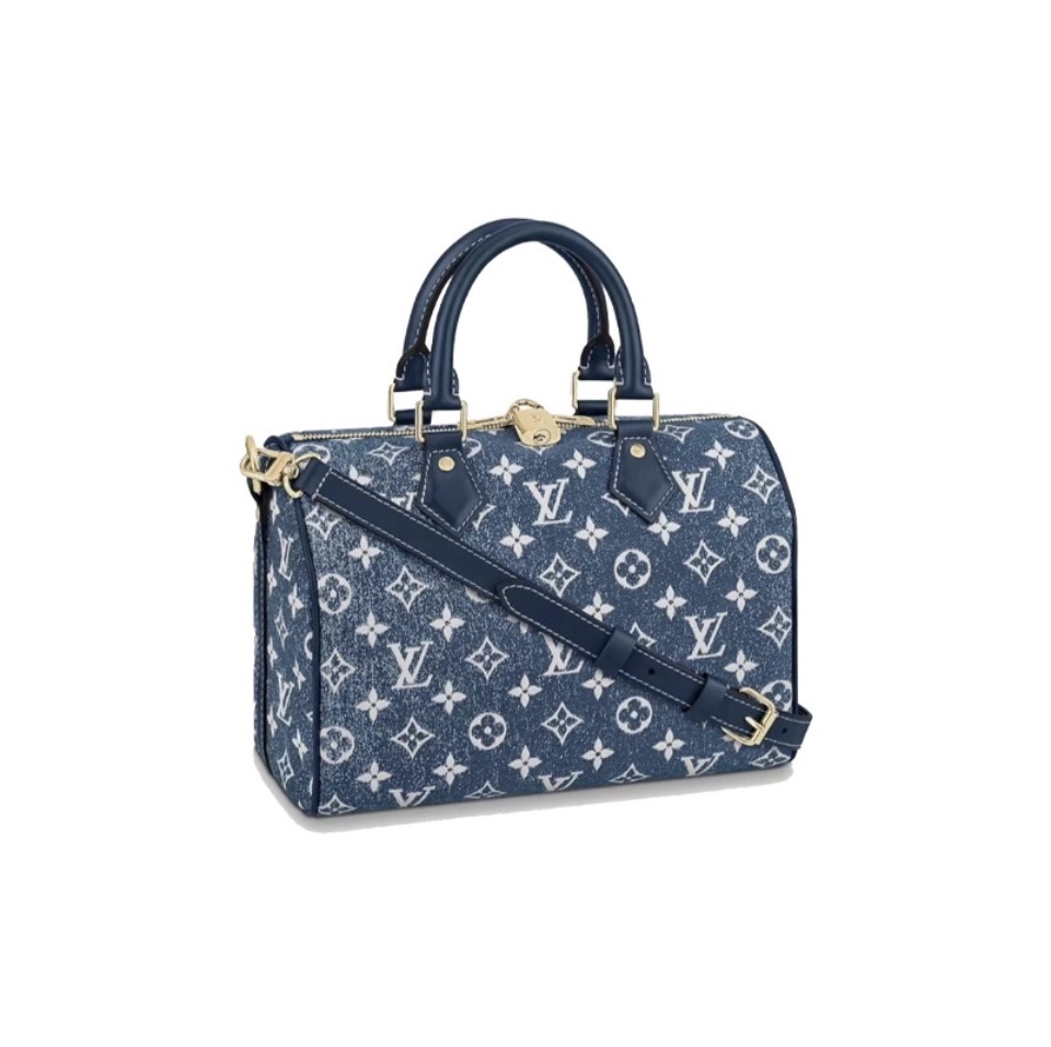 Louis Vuitton LV Speedy 25 Handbag
