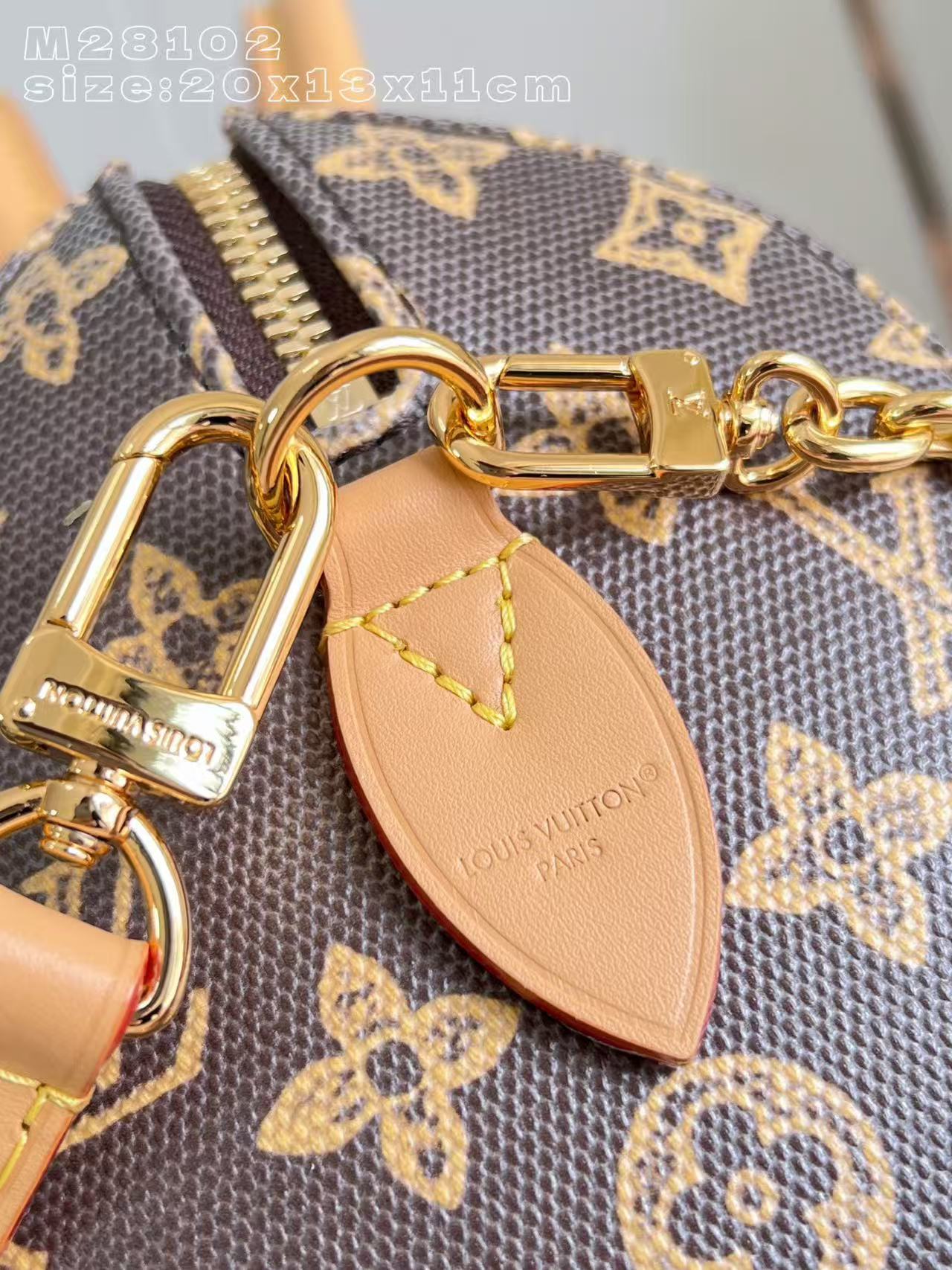 Louis Vuitton LV Speedy Trunk 20 handbag