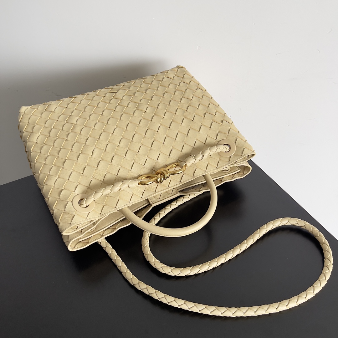 Bottega Veneta Andiamo Fashionable Old Money Style Handbag