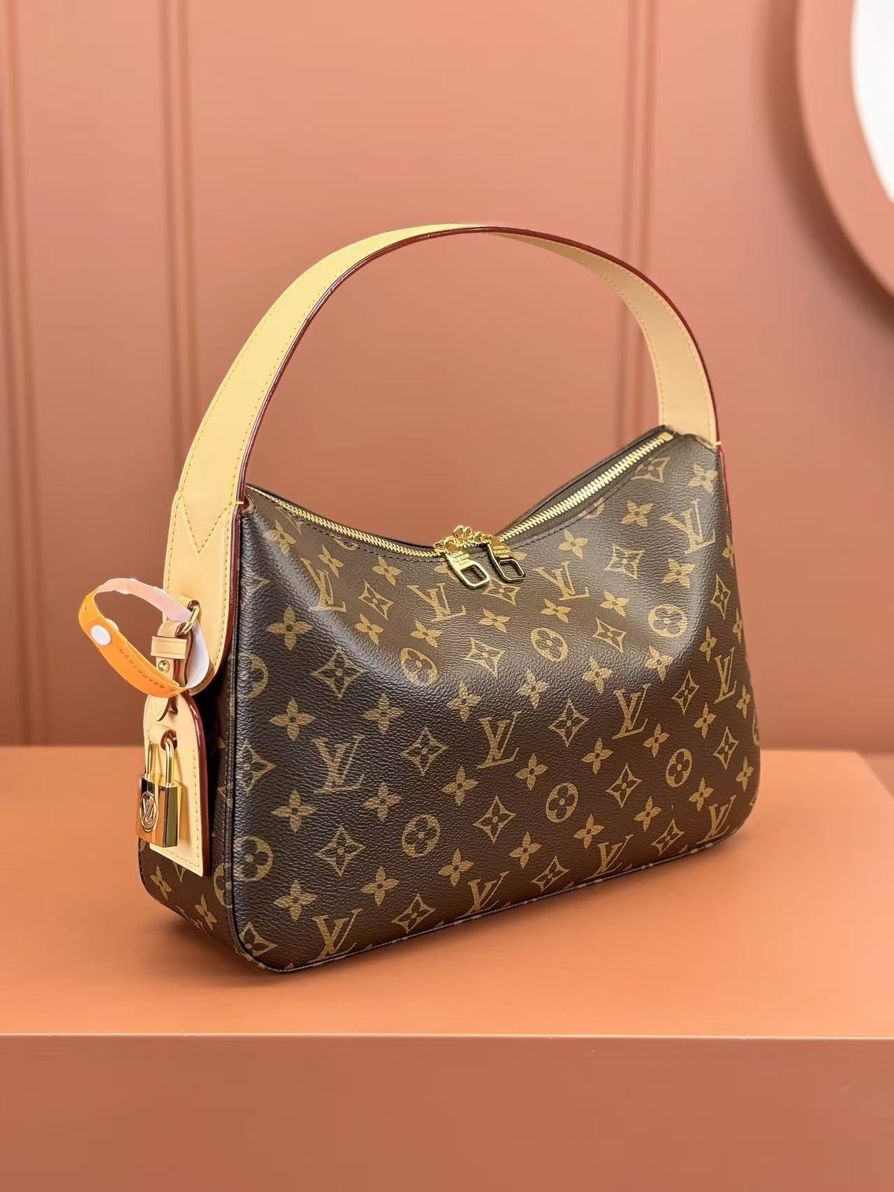 Louis Vuitton LV SLOUCHY handbag