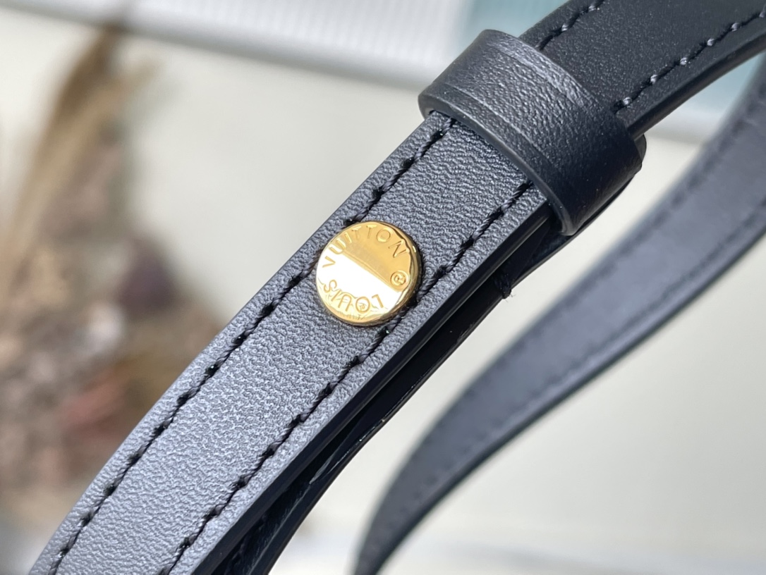 Louis Vuitton LV Tilsitt m46548
