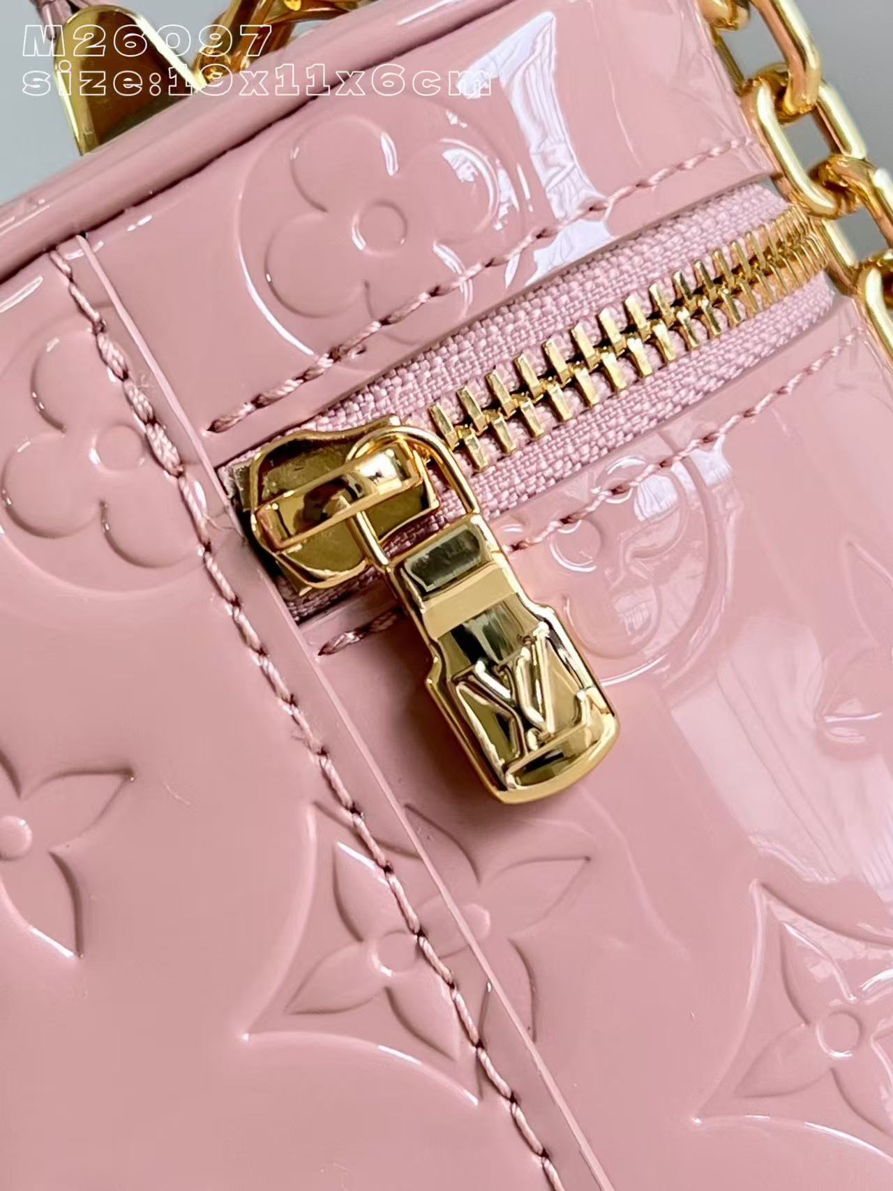 Louis Vuitton LV Vanity Chain Pouch handbag