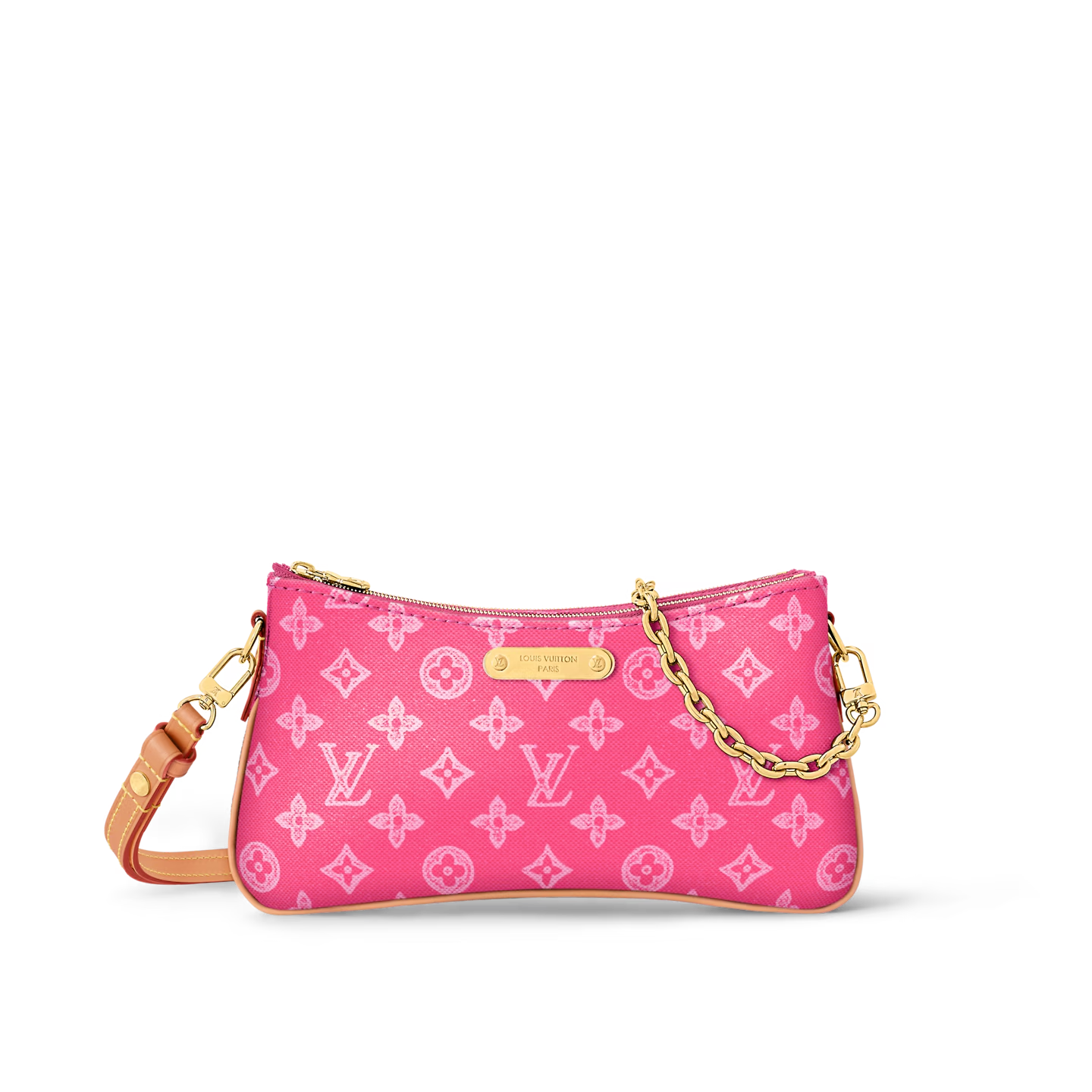 Louis Vuitton LV POCHETTE  Bag