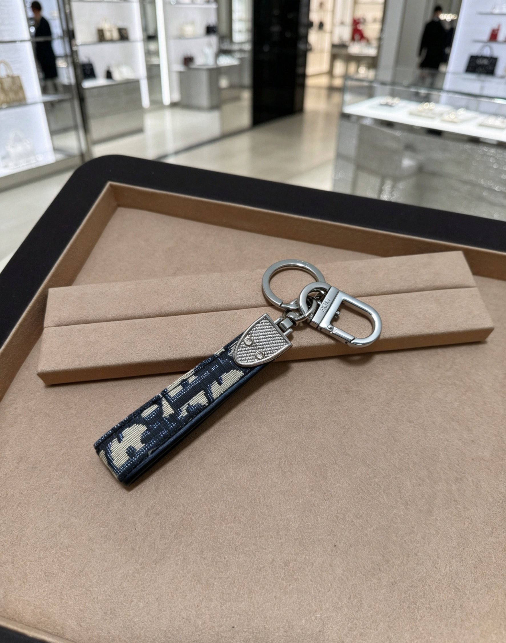 Dior Oblique Keychain