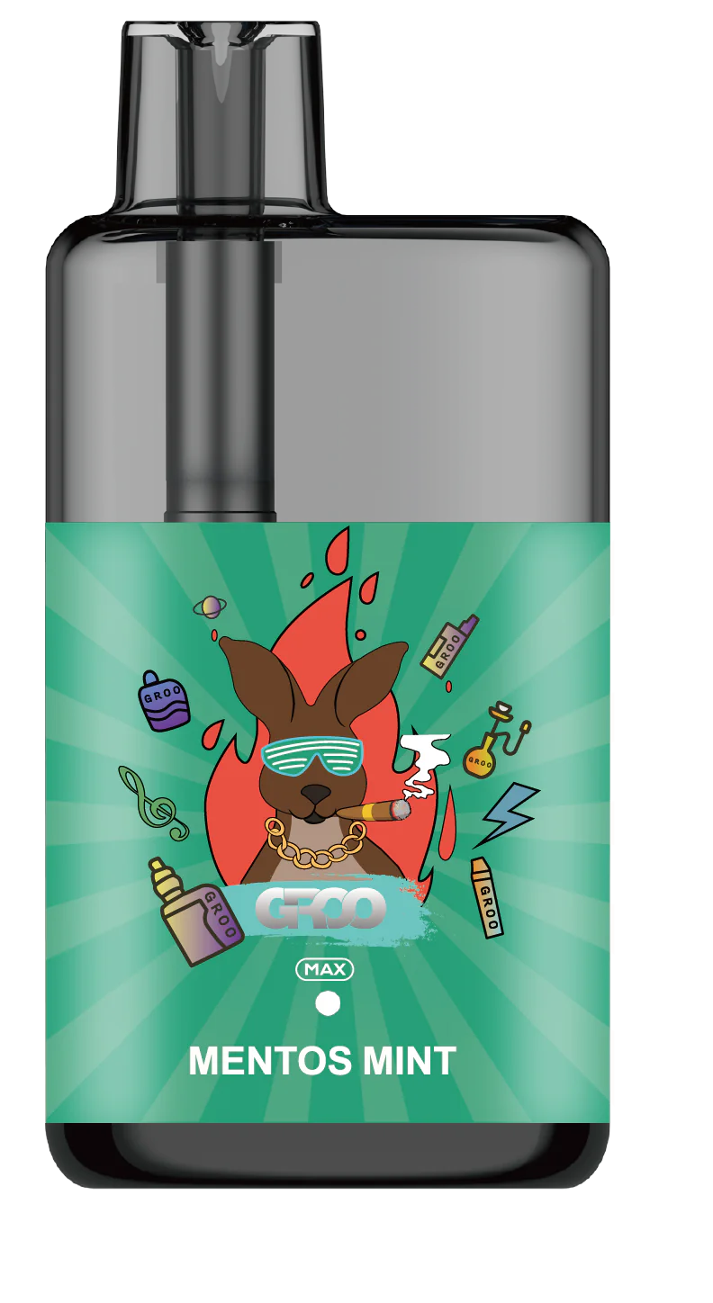 GROO MAX 10K Rechargeable Disposable Vape – Mentos Mint - Vaba Vape-Shop