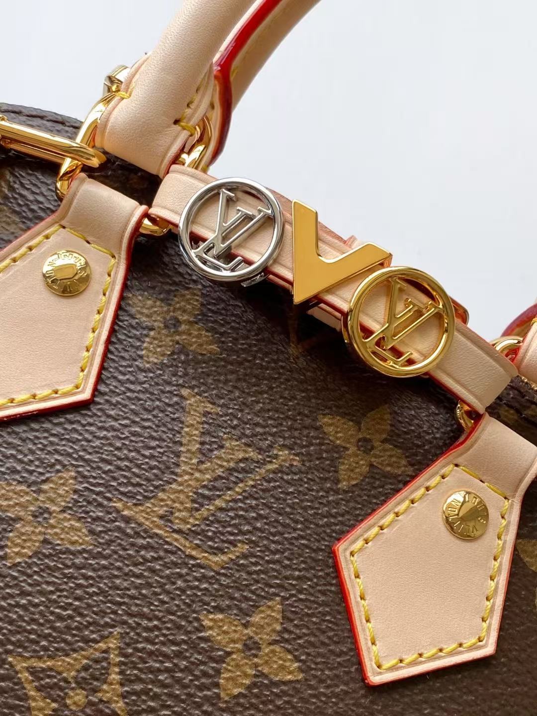 Louis Vuitton LV new handbag