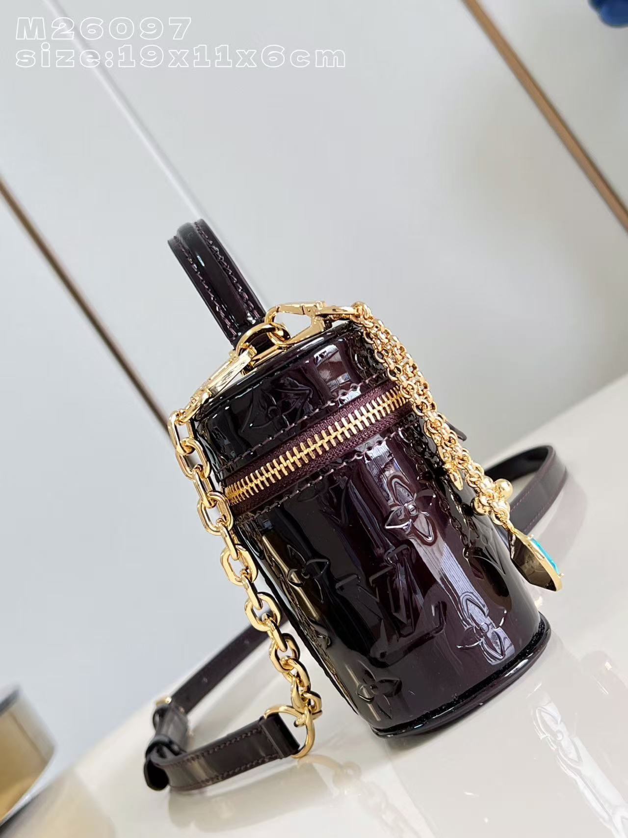 Louis Vuitton LV Vanity Chain Pouch handbag