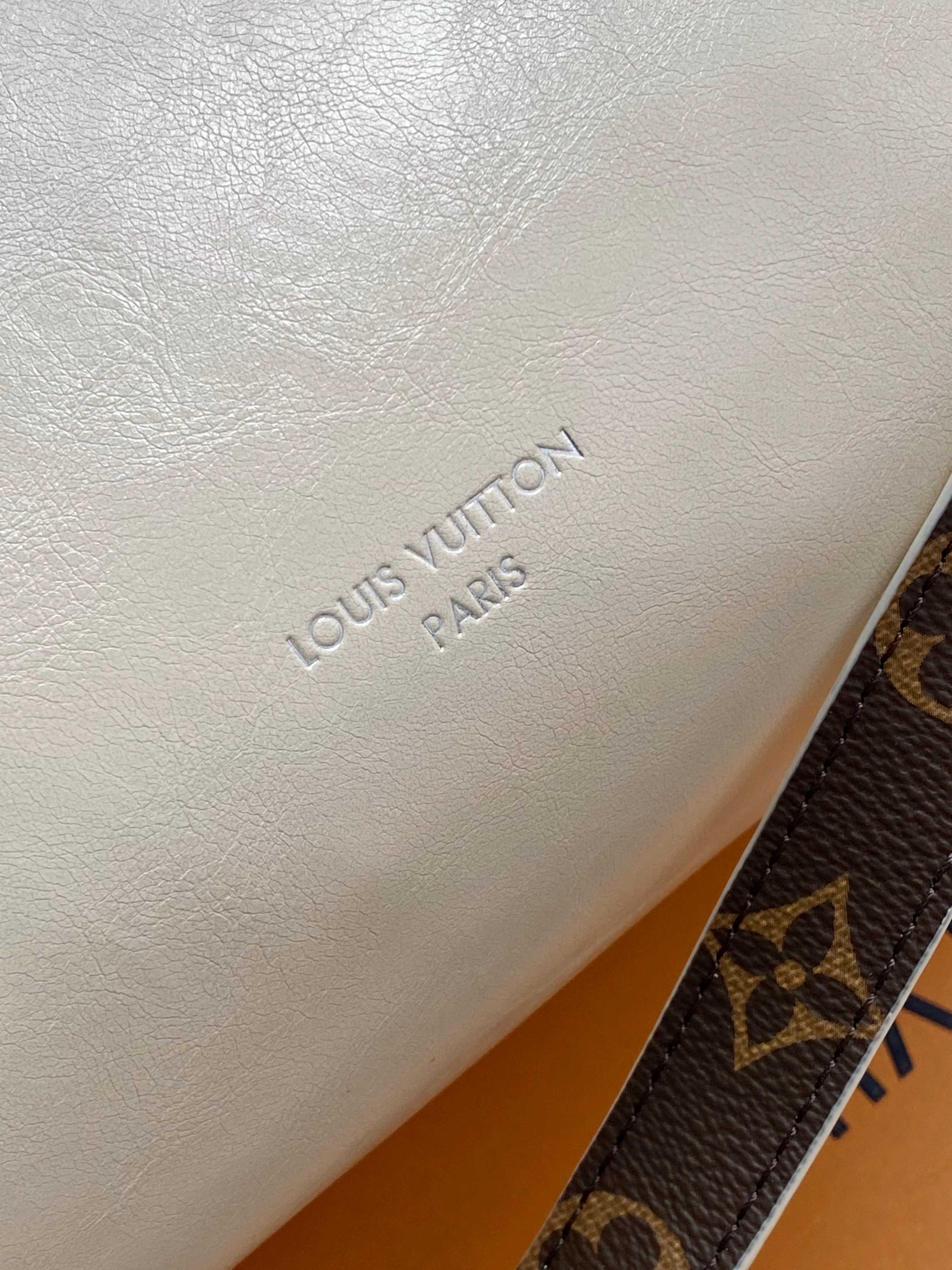 Louis Vuitton LV Speedy Cargo Vibe handbag