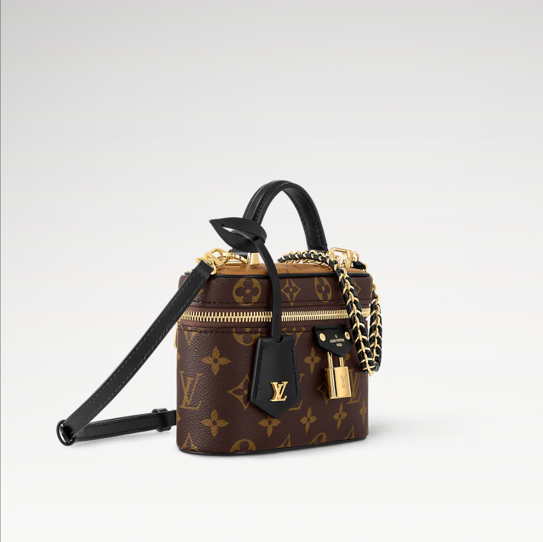 Louis Vuitton LV Vanity Pouch Toiletry Bag