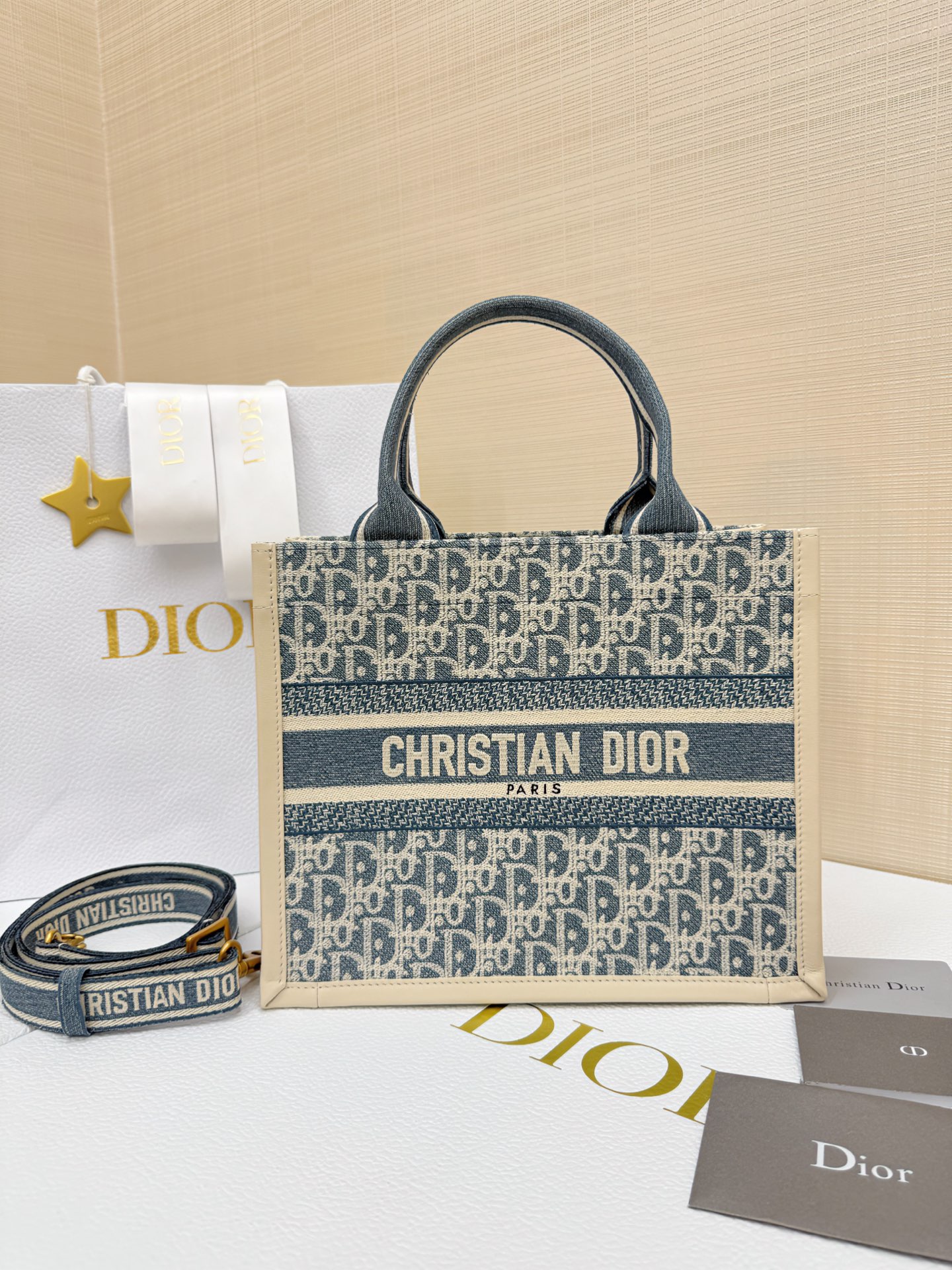 Dior Small Embroidered Canvas Book Tote with shoulder strap