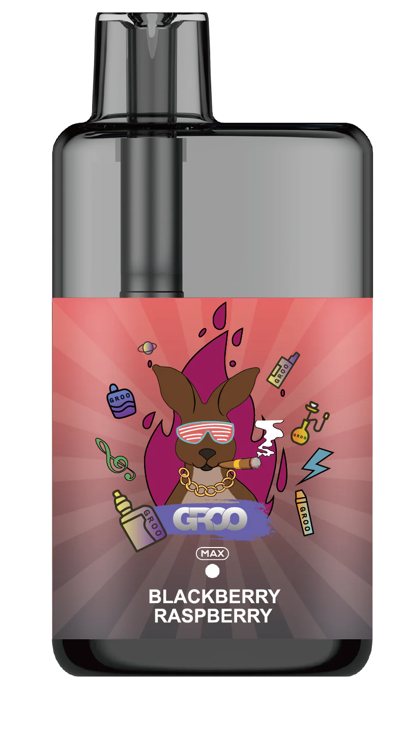 GROO MAX 10K Rechargeable Disposable Vape – Blackberry Raspberry - Vaba Vape-Shop