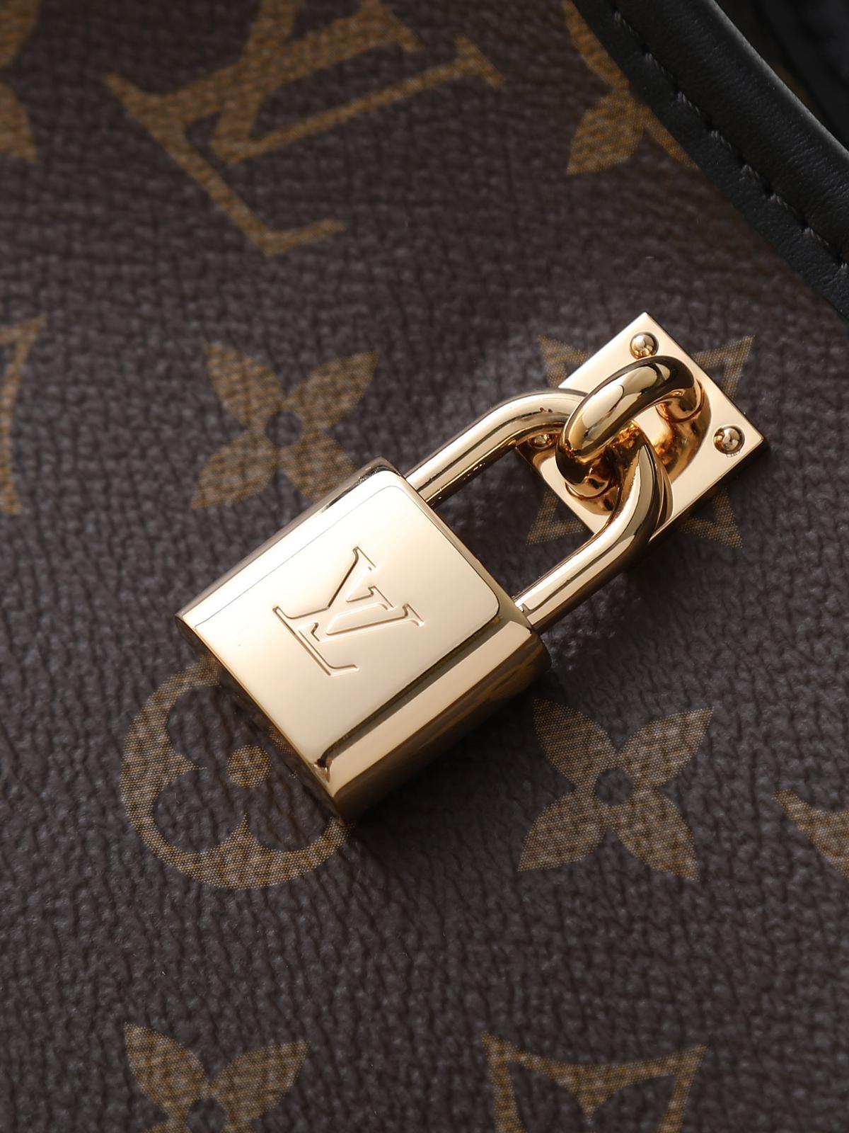 Louis Vuitton LV classic printed tote bag