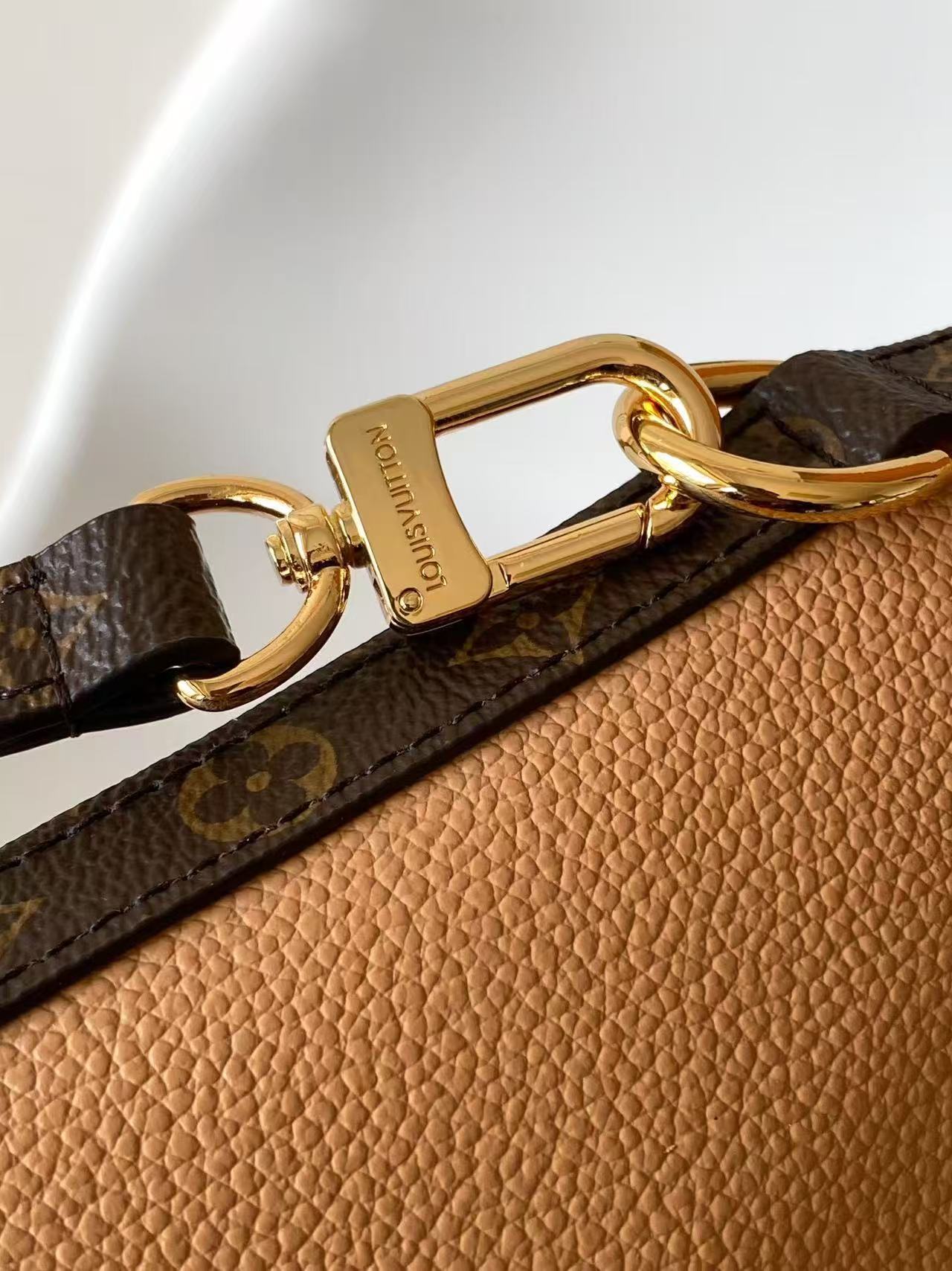 Louis Vuitton LV Fall/Winter 2025 Express Handbag