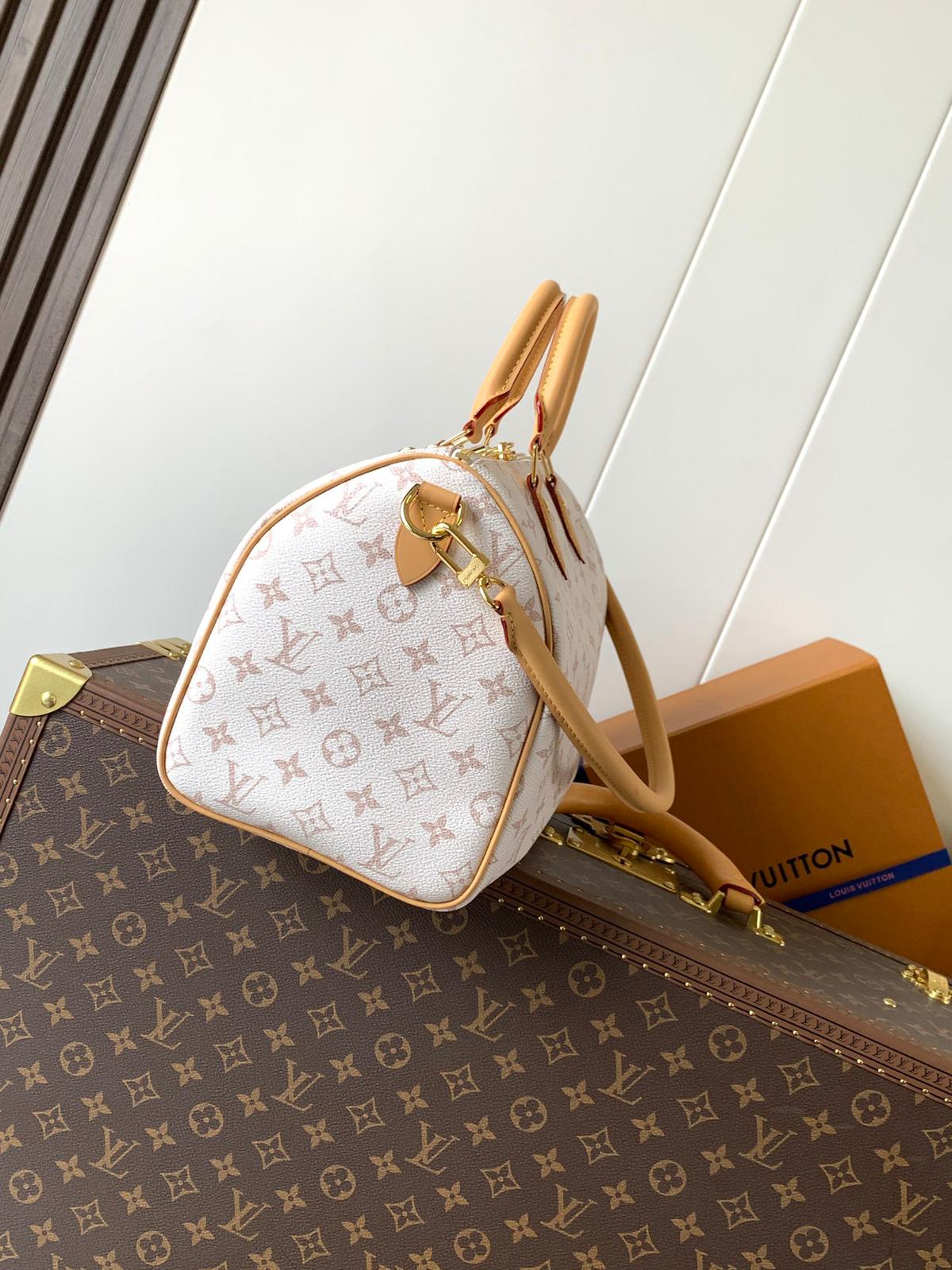 Louis Vuitton lv speedy 30