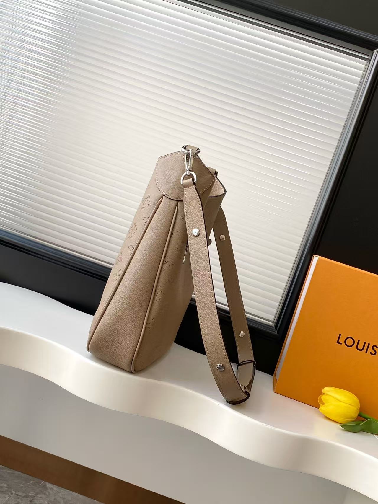 Louis Vuitton LV ALL AROUND