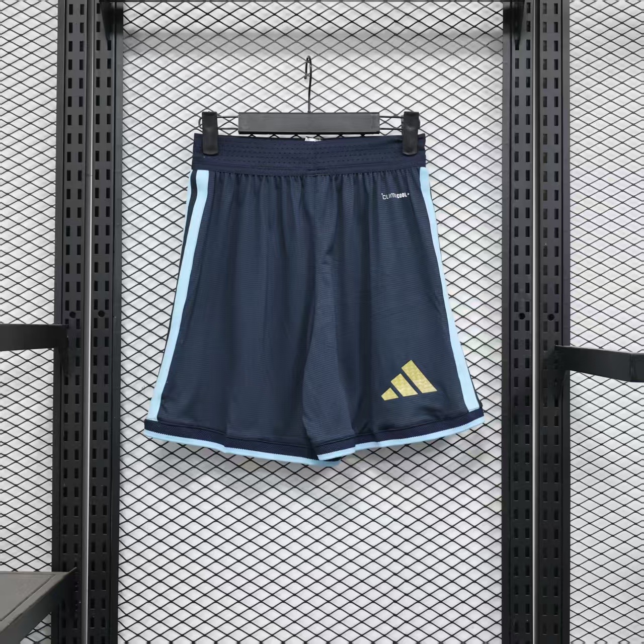 Argentina Home Soccer Shorts Player Version 2026