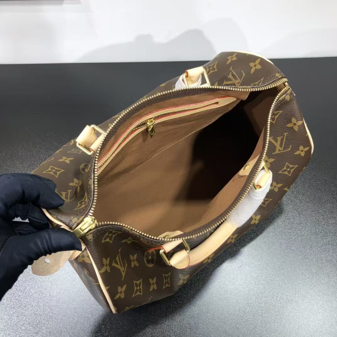 Louis Vuitton LV Speedy handbag