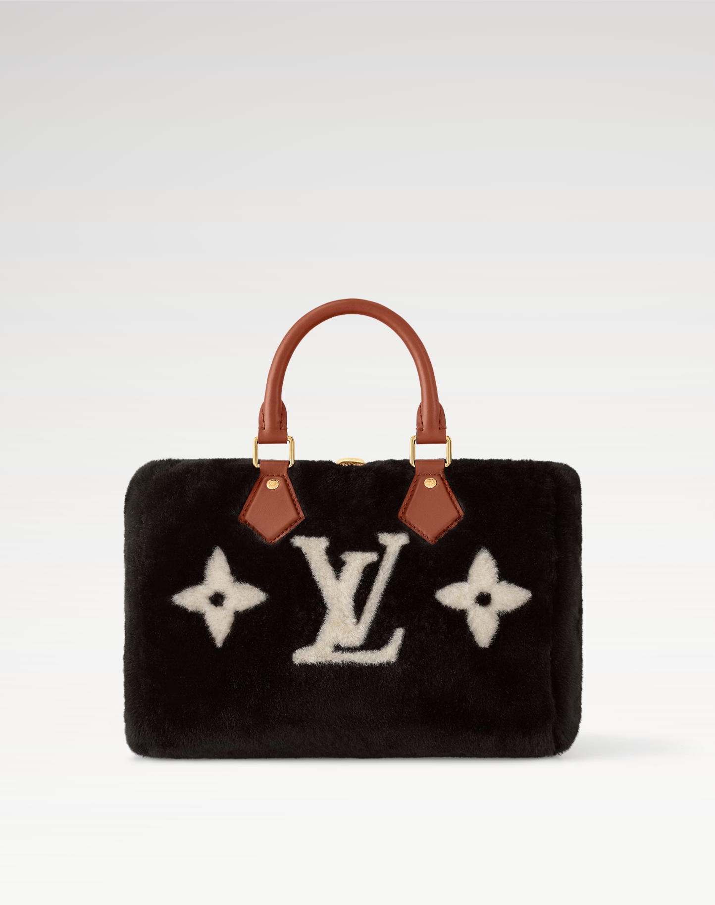 Louis Vuitton LV Speedy Bandoulière 25