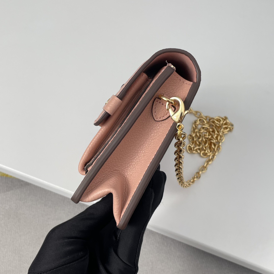Louis Vuitton lv new printed chain crossbody bag