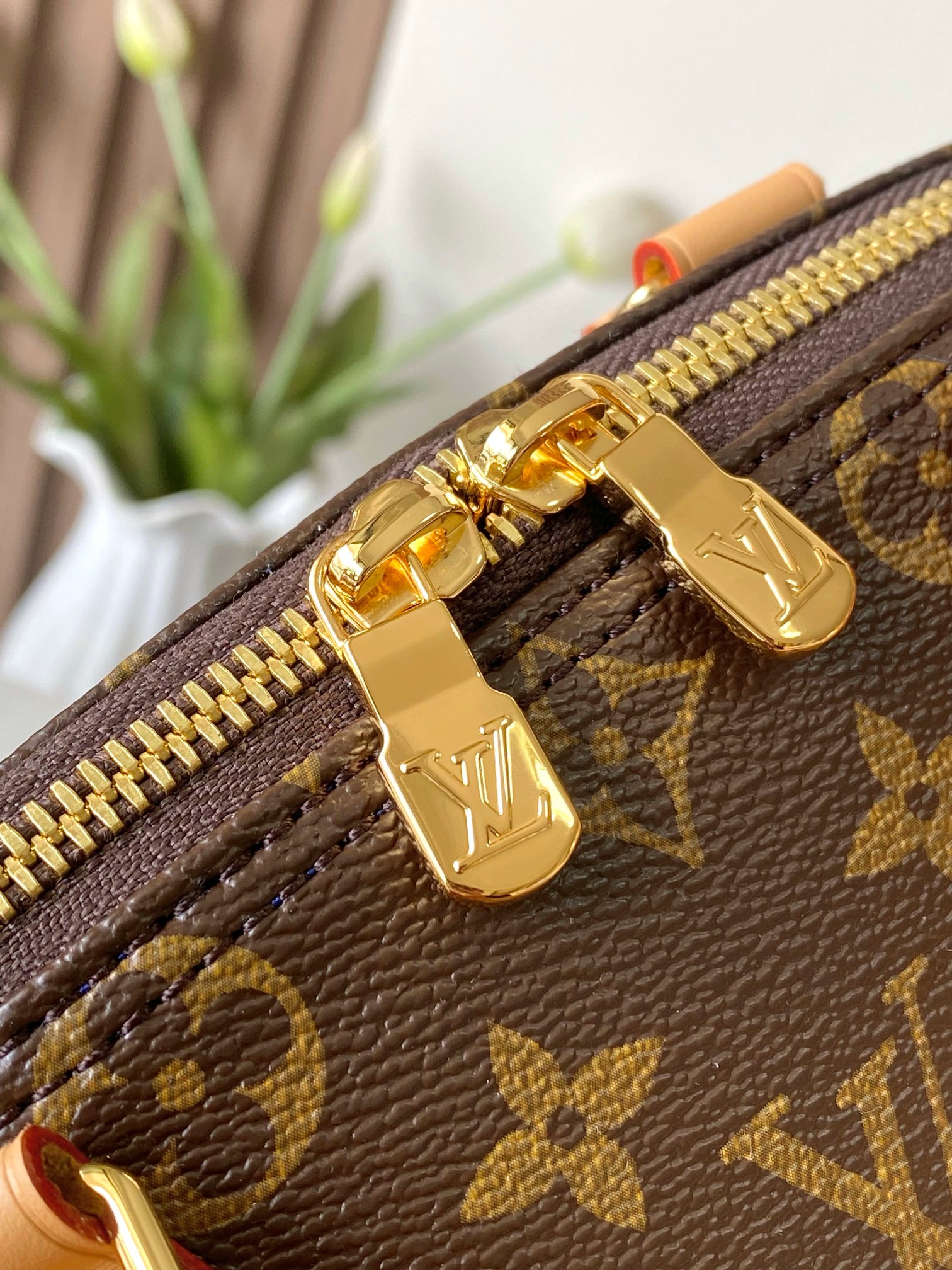 Louis Vuitton Alma Soft Medium Handbag