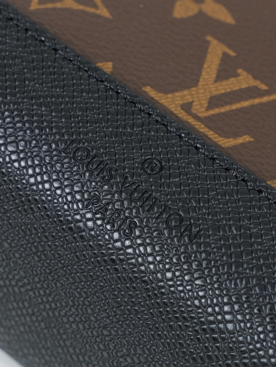 Louis Vuitton new Monogram canvas waist bag