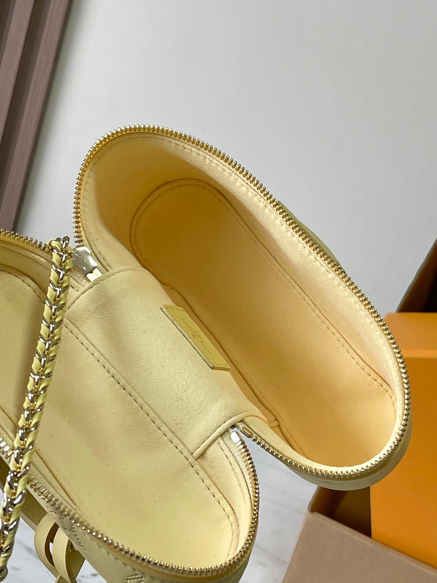 Louis Vuitton Vanity Pouch handbag