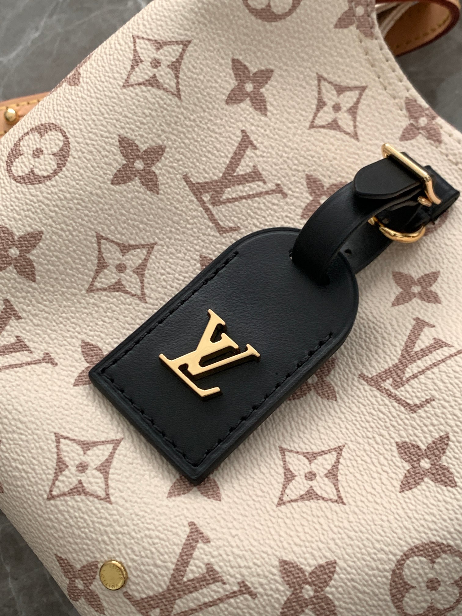 Louis Vuitton LV Atlantis BB Monogram Dune handbag
