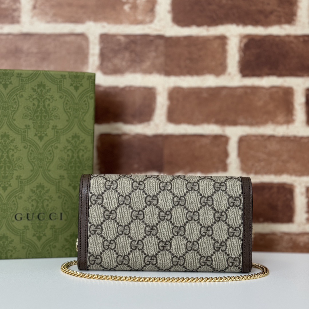 GUCCI GG Ophidia bag Supreme On Chain WOC