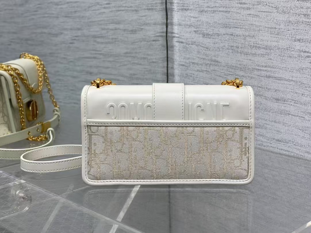 DIOR 30 Montaigne East-West chain bag