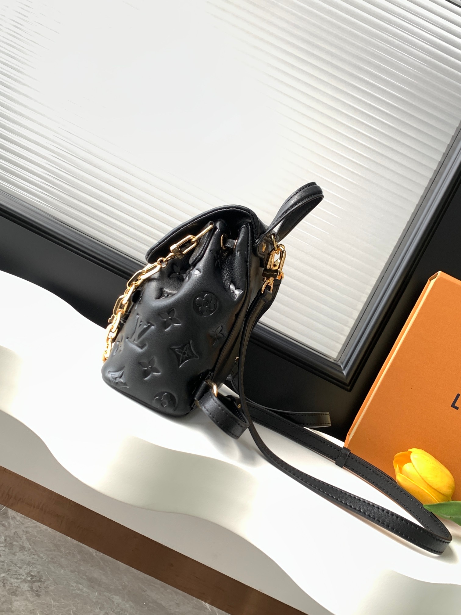 Louis Vuitton LV Coussin Backpack PM Backpack