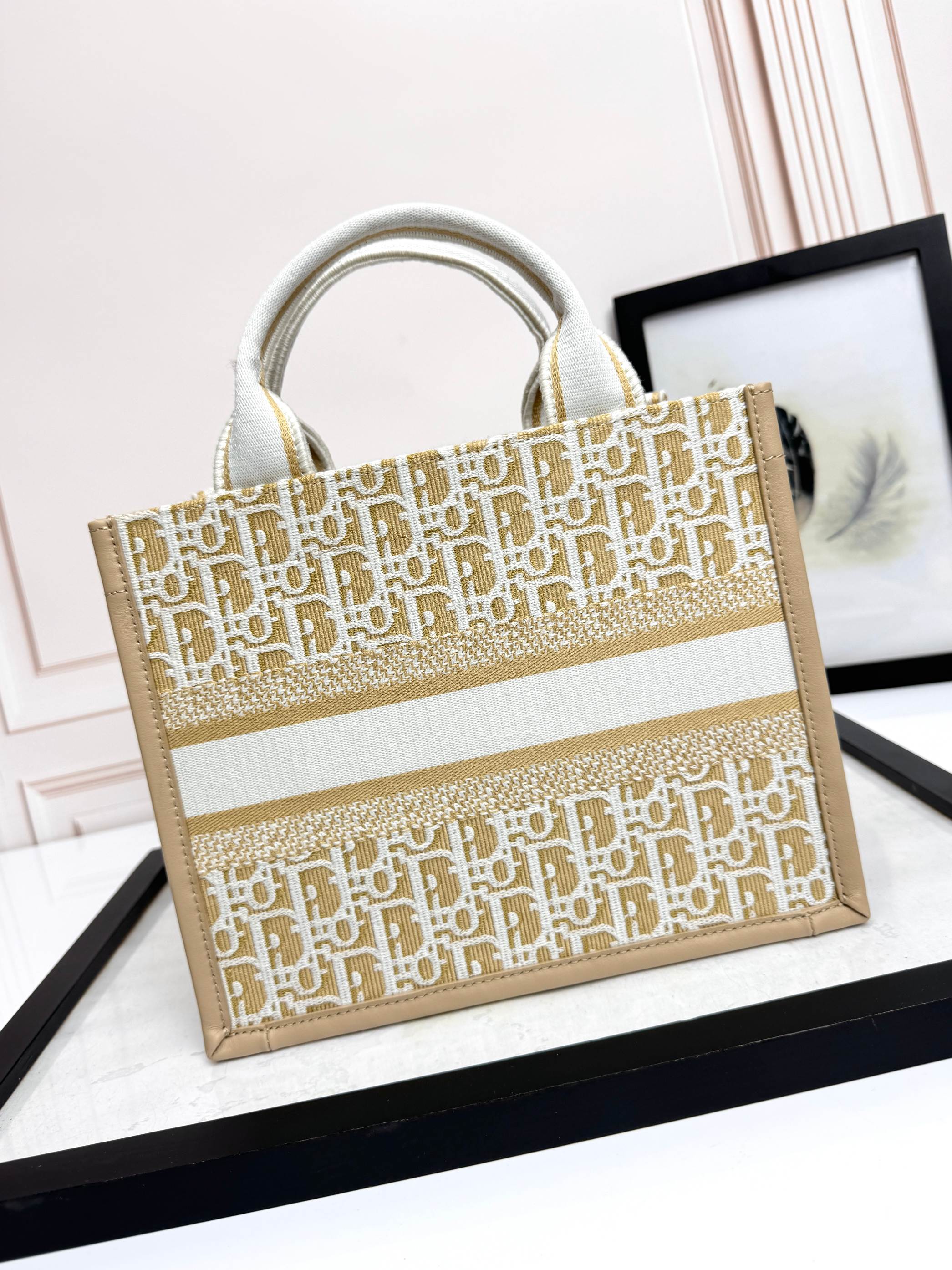 Dior Embroidered Canvas Small  Book Tote with shoulder strap