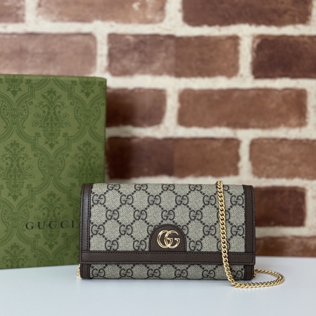 GUCCI GG Ophidia bag Supreme On Chain WOC