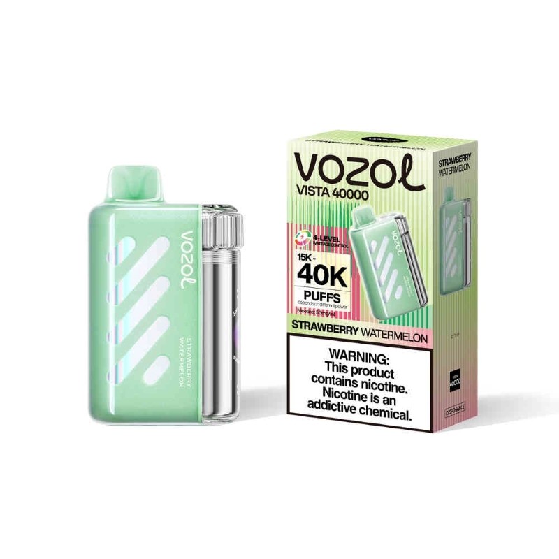 VOZOL Vista 40000 Puffs 5%
