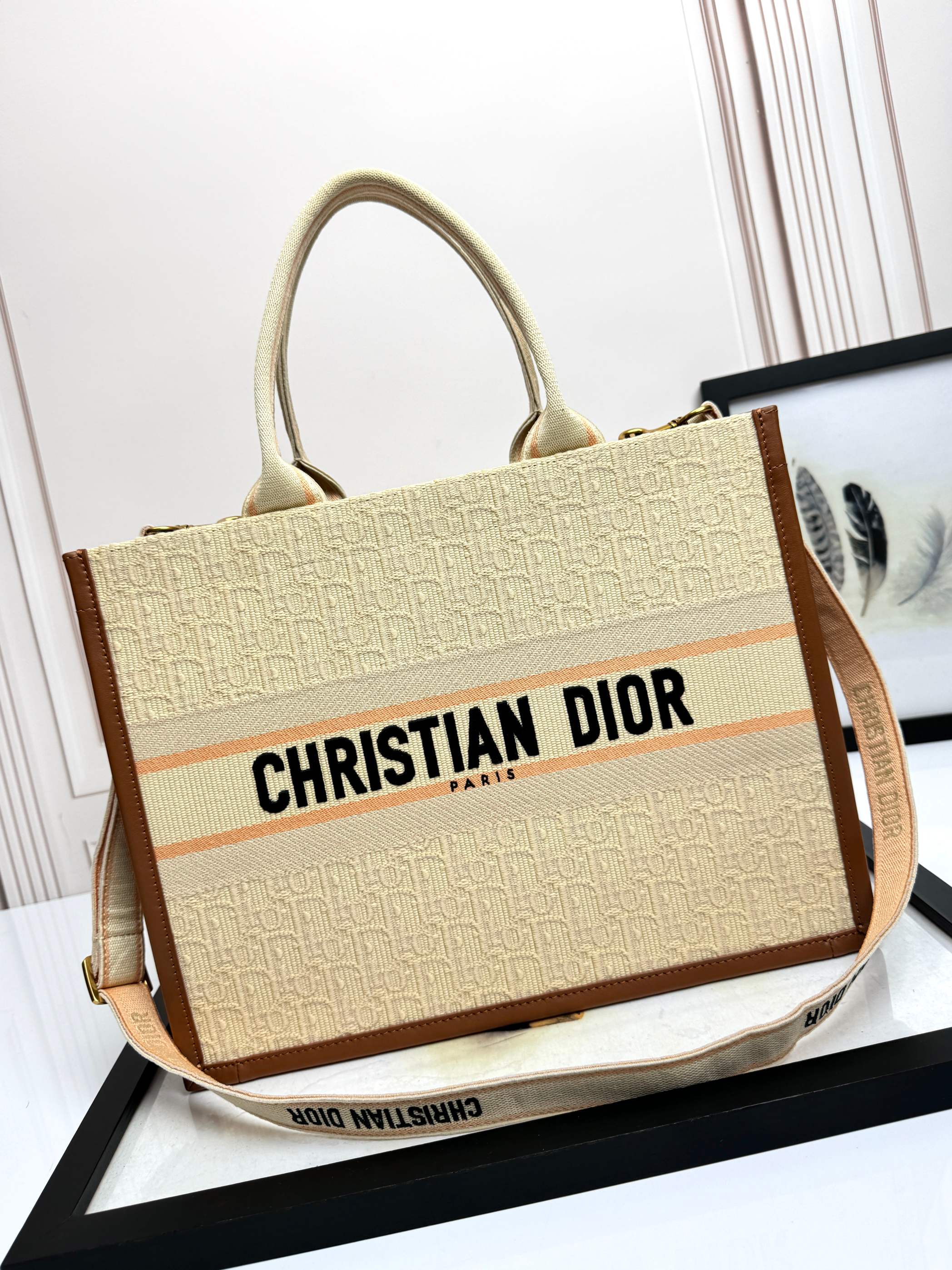 Dior Embroidered Canvas Medium  Book Tote with shoulder strap