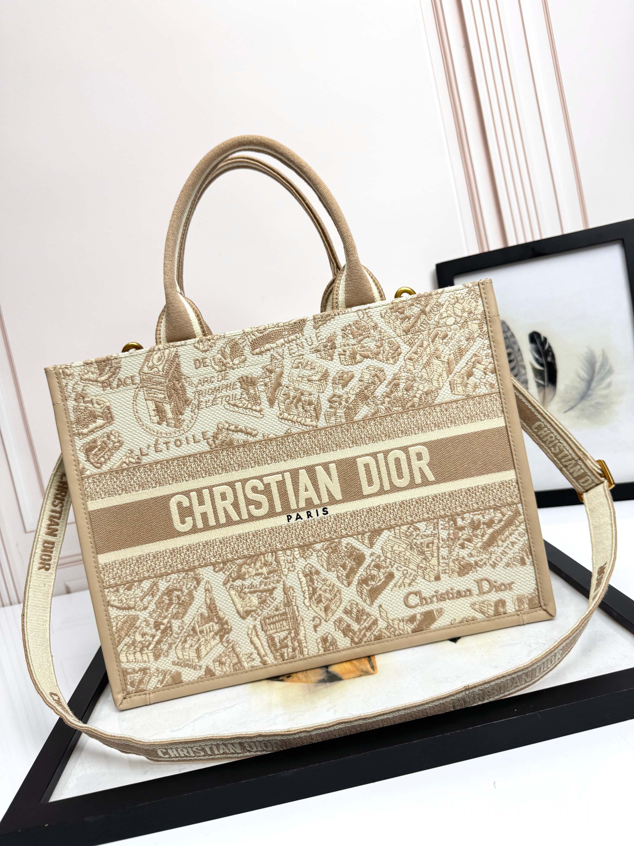 Dior Embroidered Canvas Medium  Book Tote with shoulder strap