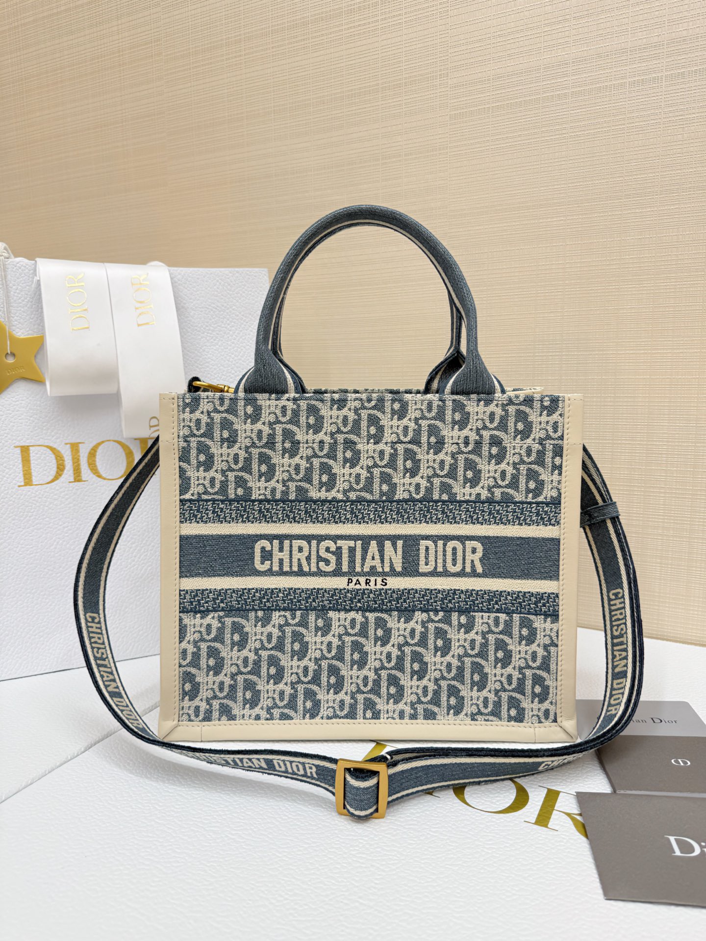Dior Small Embroidered Canvas Book Tote with shoulder strap