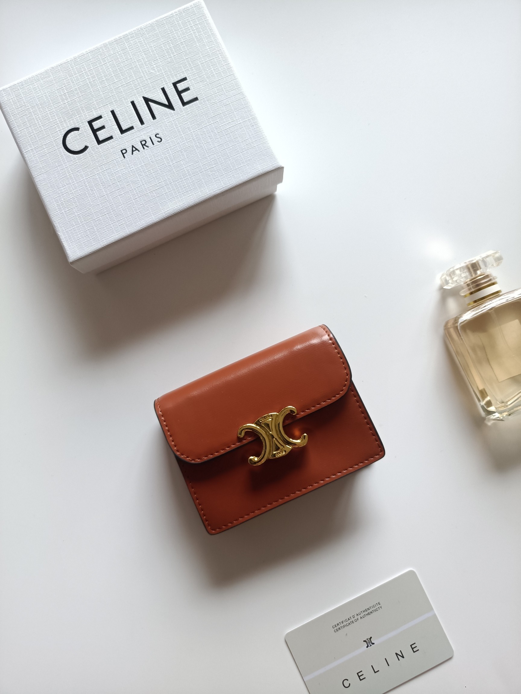 Celine Mini Leather Triomphe Gold Chain Box Crossbody Bag &  Wallet - KAIROO