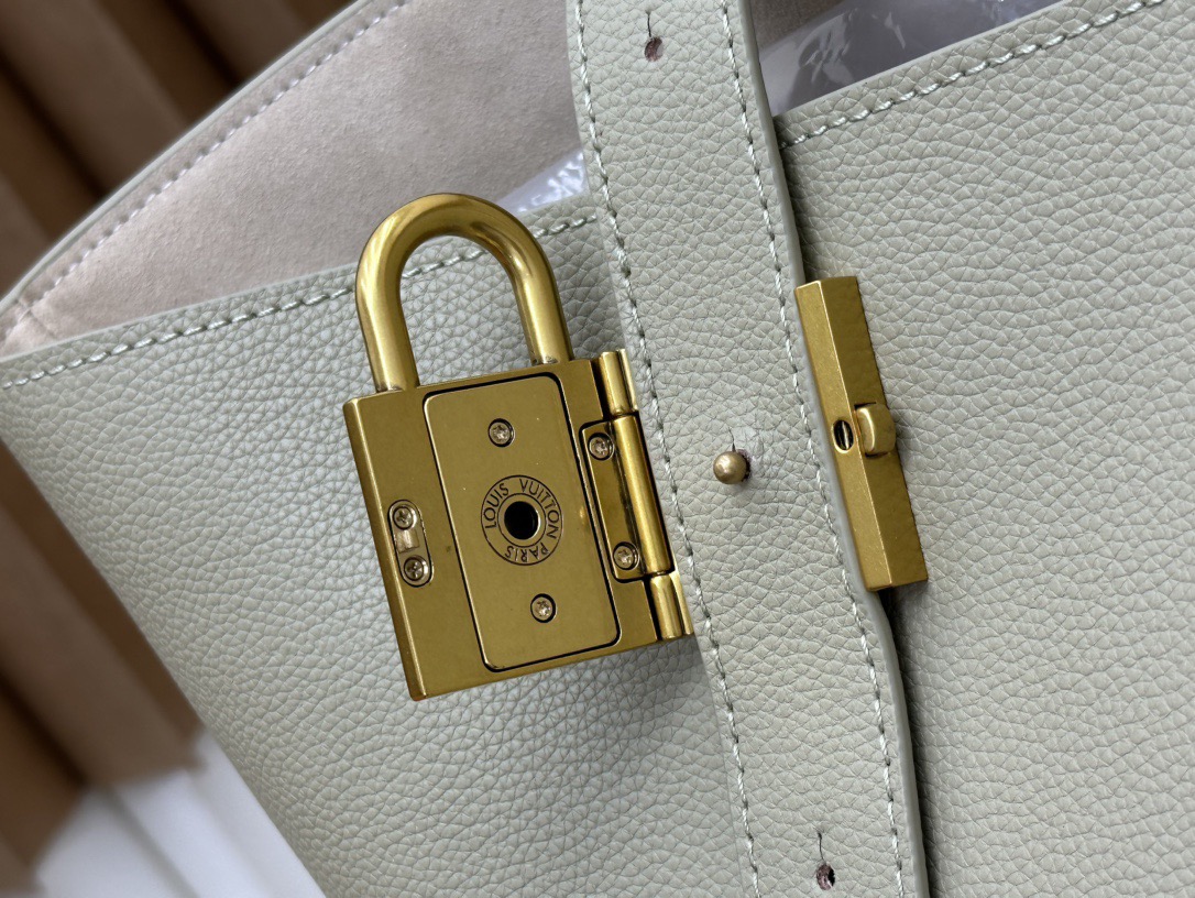 Louis Vuitton medium calfskin bag