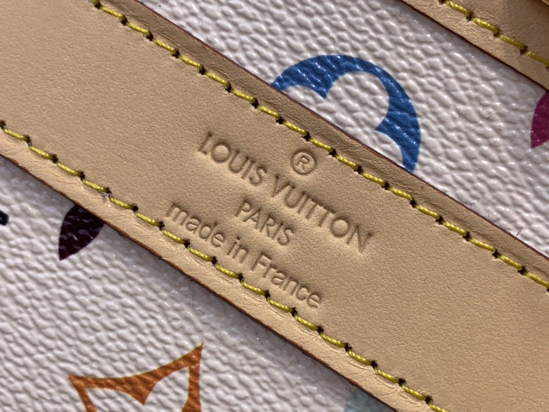 Louis Vuiton Bags LV x TM Dog Pet Bag