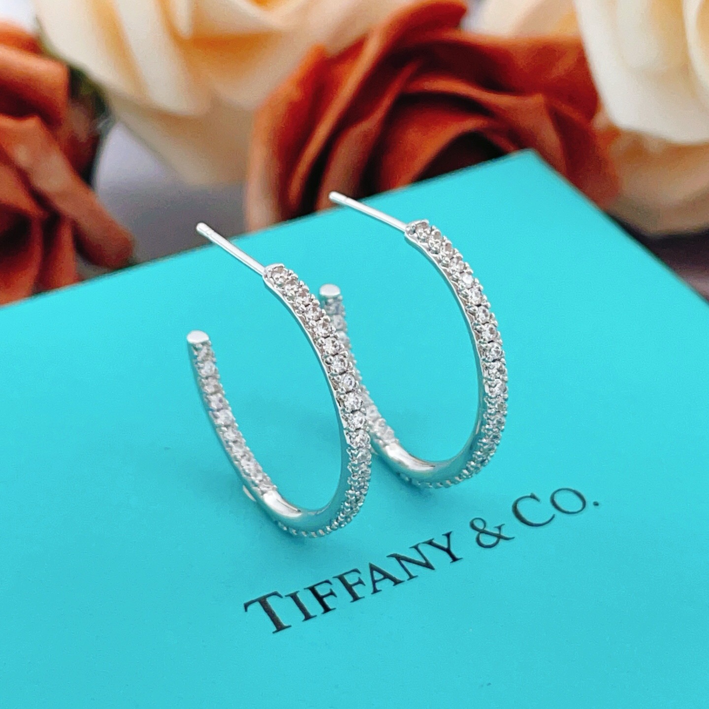 Tiffany Fashion Earrings