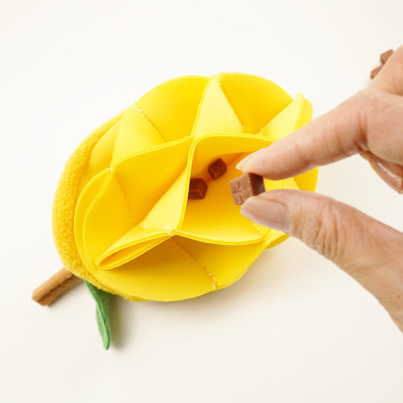 Mango Sniff Hide Food Dog Toy Paper Sound Bite Resistant Pet Toy