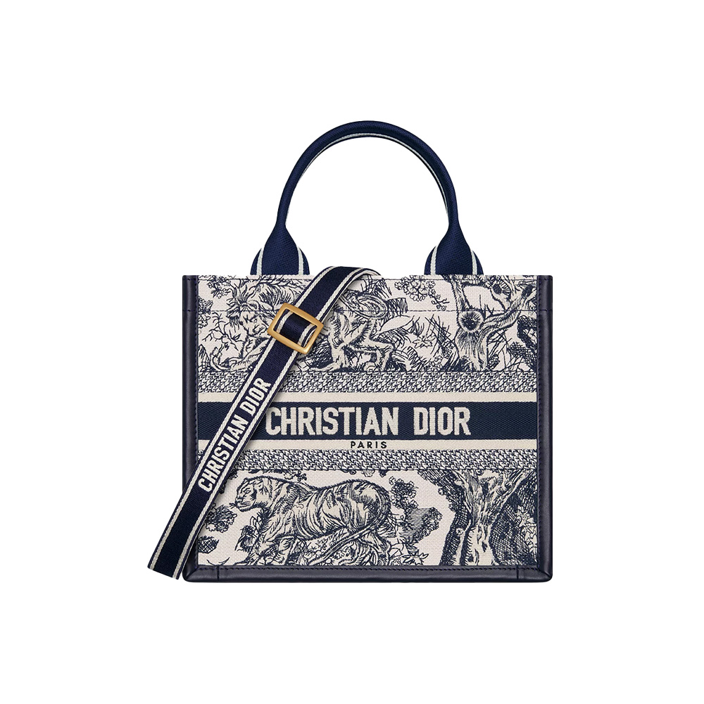 Dior Small Dior Book Tote (Mirror Quality)
