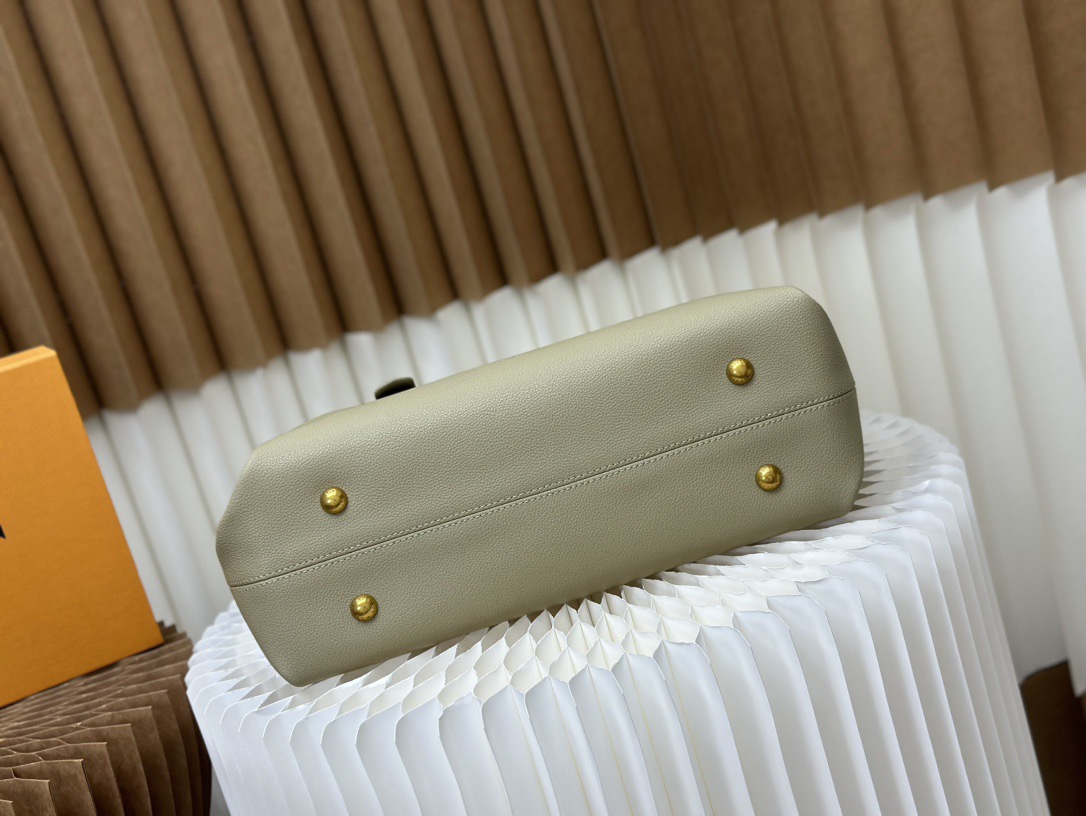 Louis Vuitton medium calfskin bag