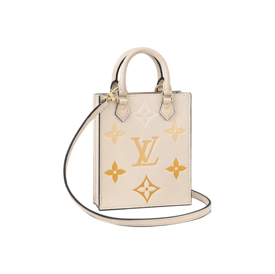 Louis Vuitton LV Petit Sac Plat