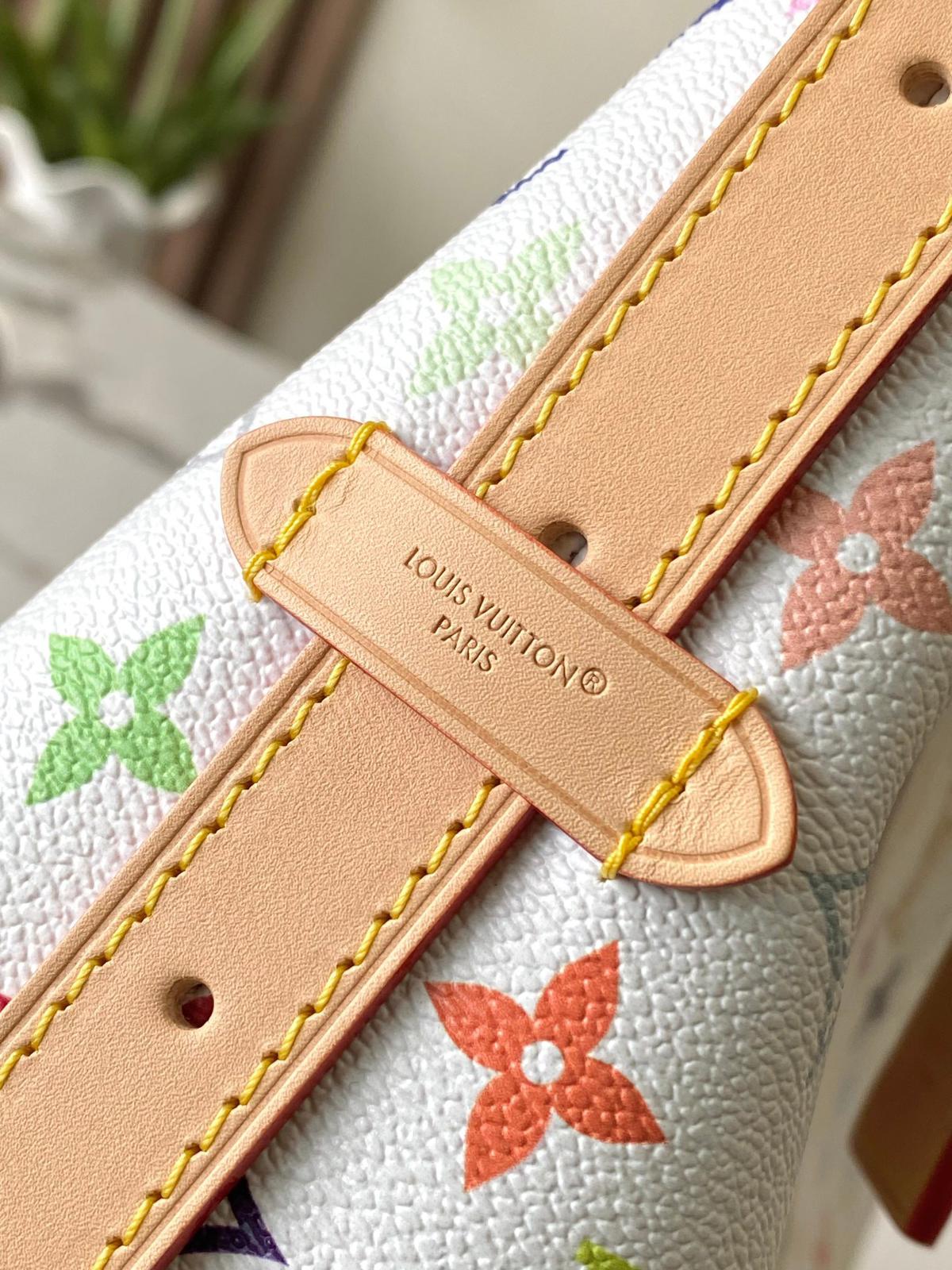 Louis Vuitton  LV carryall east west bags