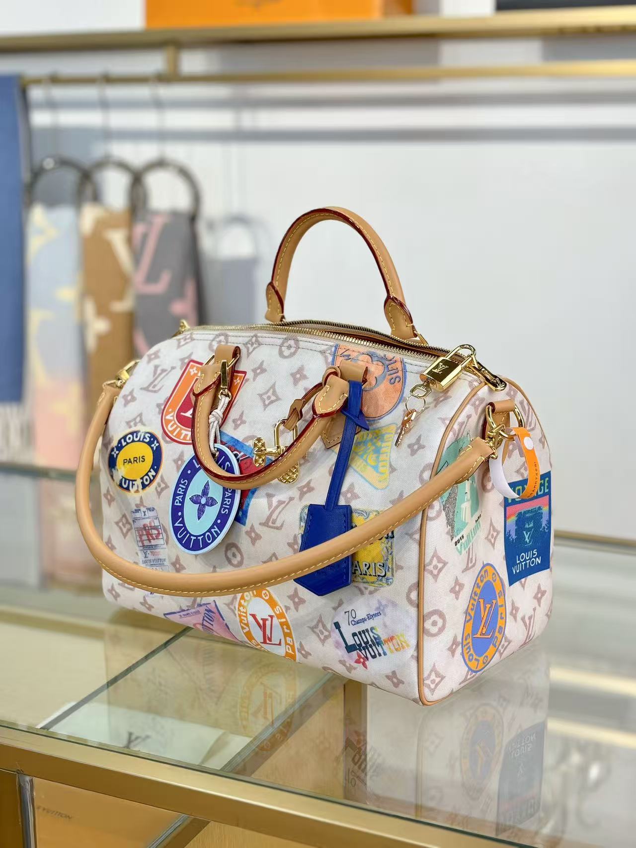 Louis Vuitton LV Sneedy SOFT 30 handbag