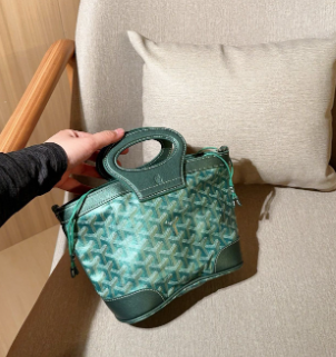 Goyard mini handbag